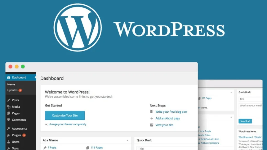 WordPress Plugins for Beginners 