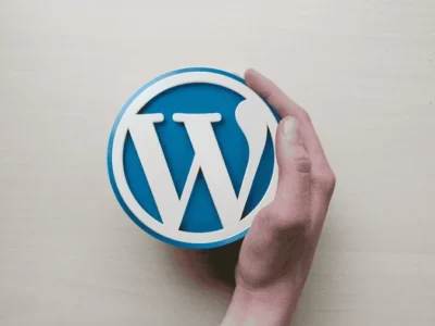 WordPress Plugins for Beginners